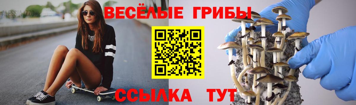Псилоцибиновые грибы мицелий  Вход с VPN  Рославль 